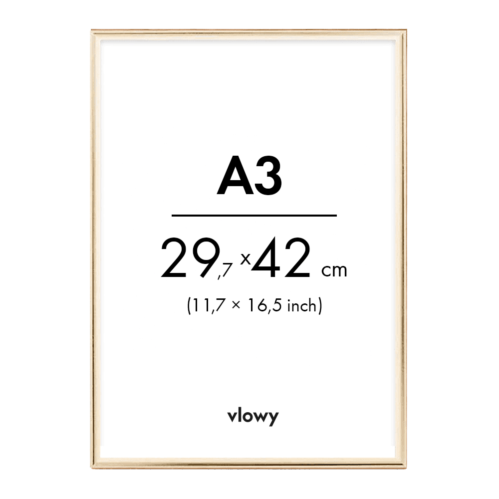 Gold metal frame 29,7×42cm a3