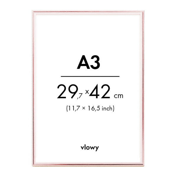 Rose metal frame 29,7×42cm a3