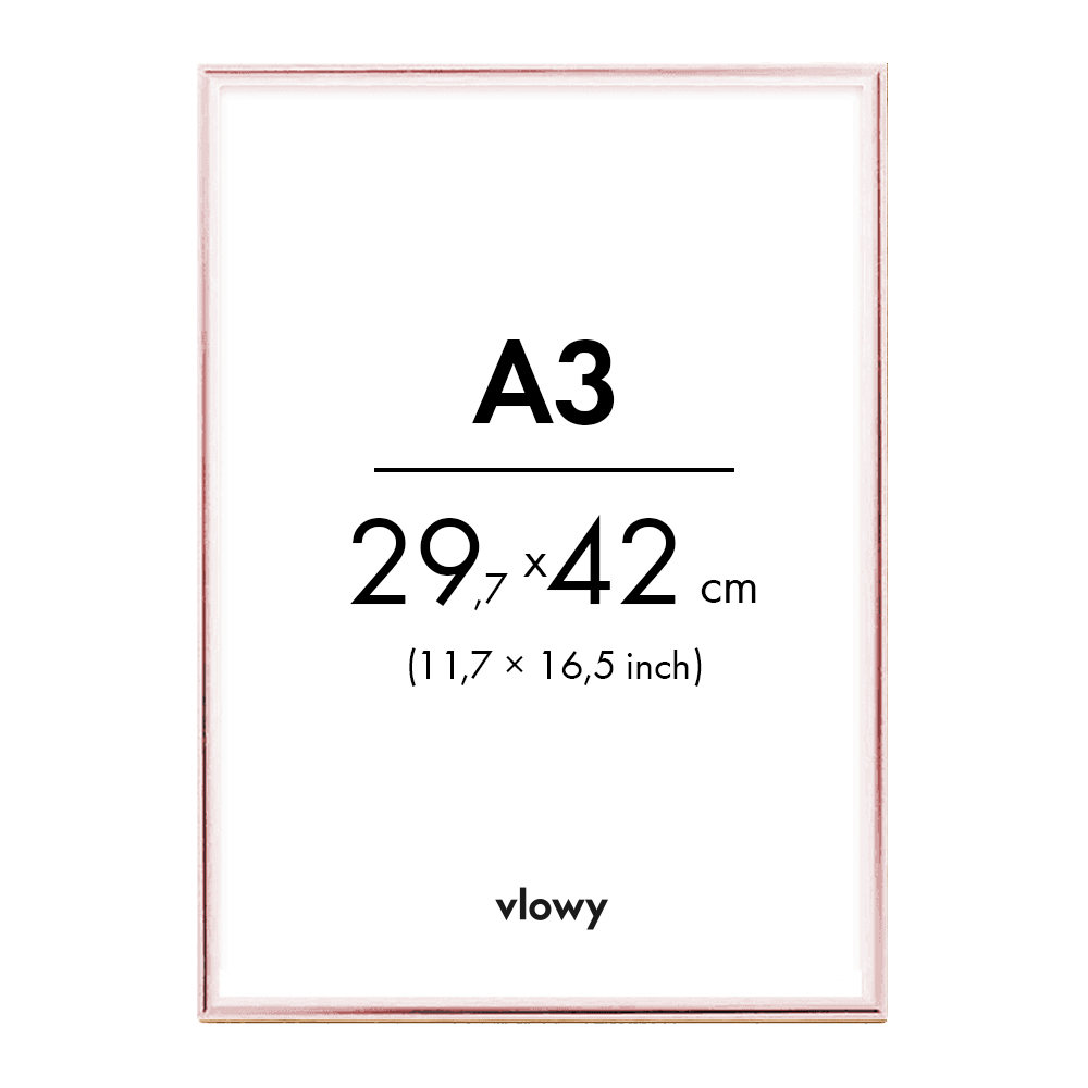 Rose metal frame 29,7×42cm a3