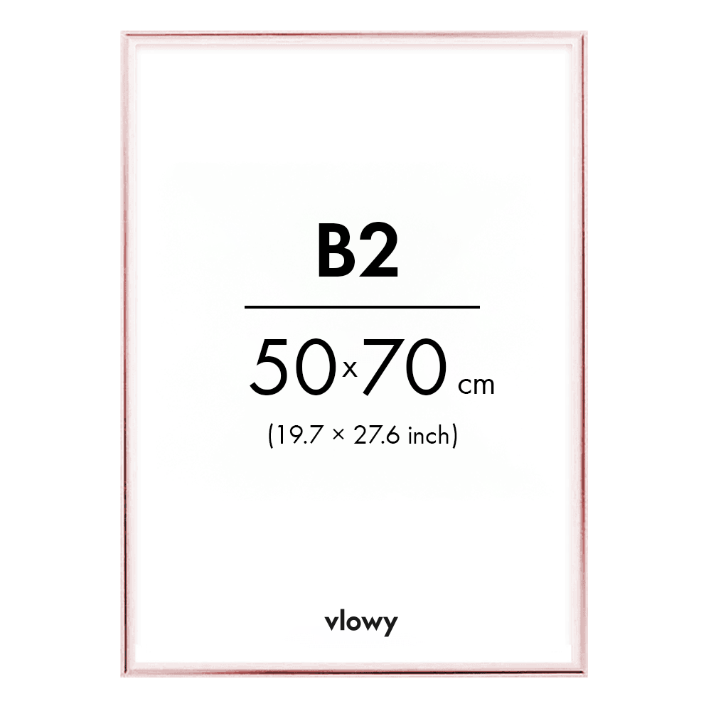 Rose metal frame 50x70 b2