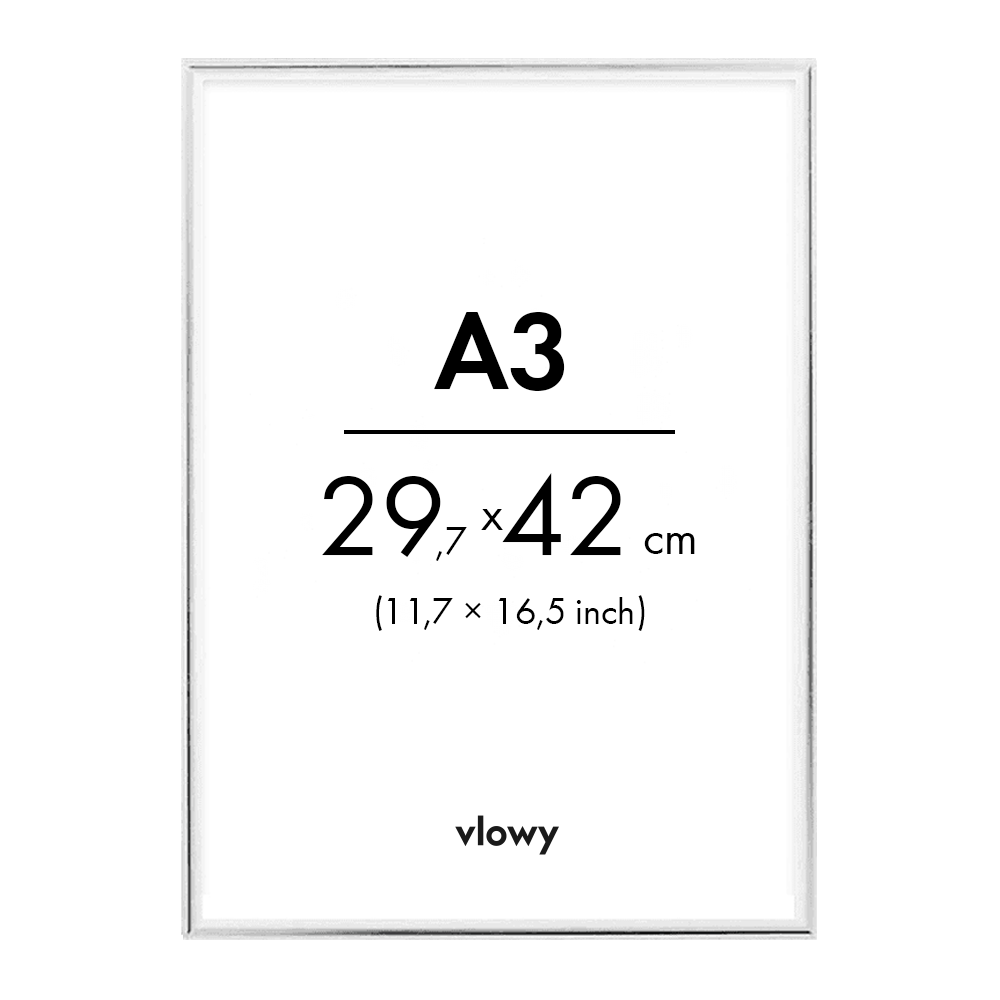 Silver metal frame 29,7×42cm a3