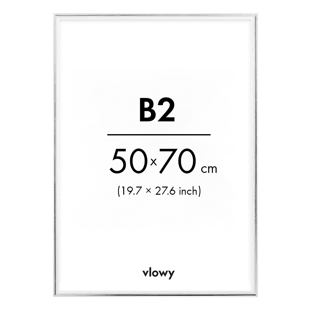 Silver metal frame 50x70 b2