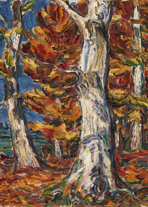 Christian Rohlfs White Beeches in Fall by Christian Rohlfs poster