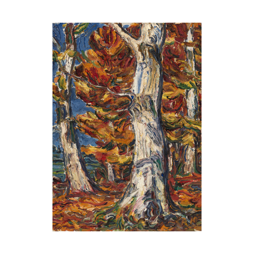 Christian Rohlfs White Beeches in Fall by Christian Rohlfs poster