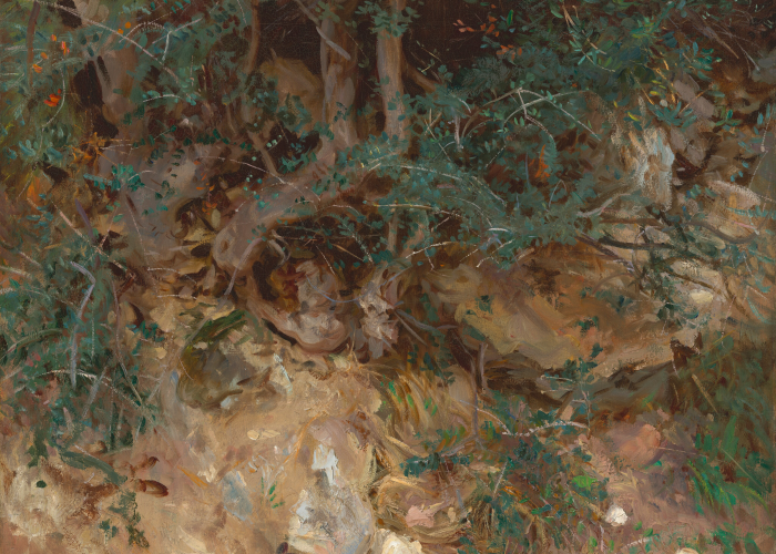 John Singer Sargent Wild Olive Tree Roots, Valldemosa, Majorca poster