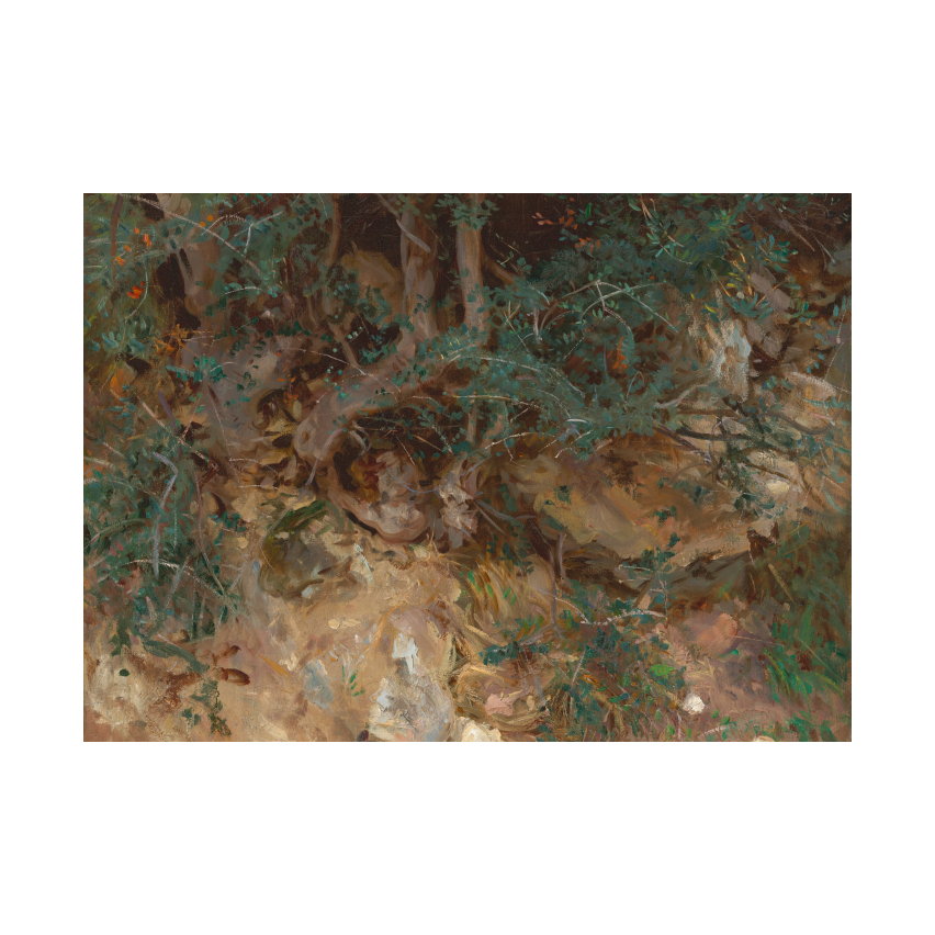 John Singer Sargent Wild Olive Tree Roots, Valldemosa, Majorca poster