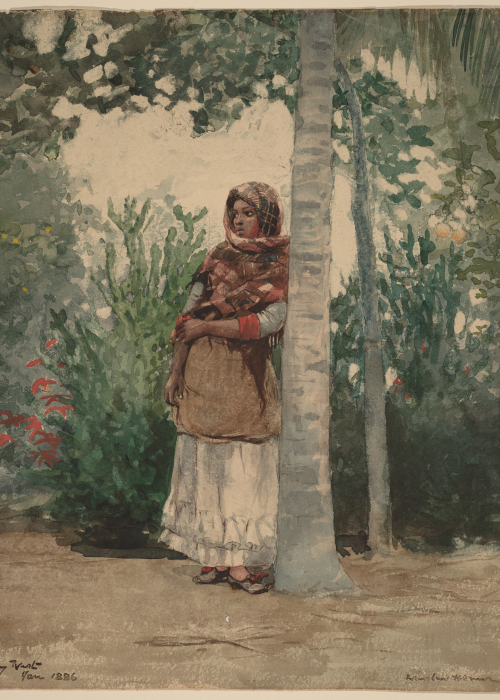 Winslow Homer Under a Palm Tree poster