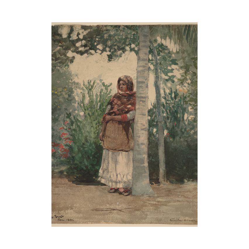 Winslow Homer Under a Palm Tree poster