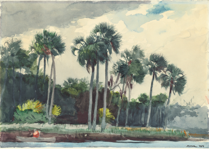 Winslow Homer Red Shirt, Homosassa, Florida poster