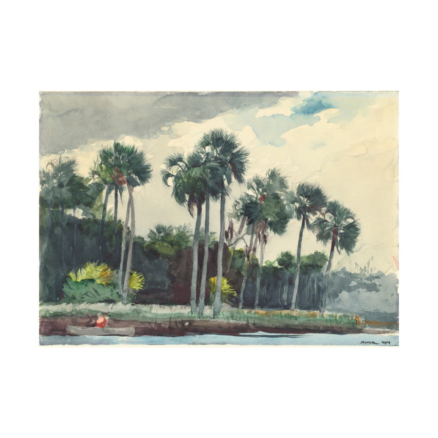 Winslow Homer Red Shirt, Homosassa, Florida poster