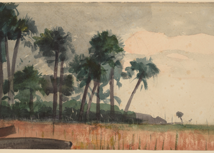 Winslow Homer Palm Trees, Red poster