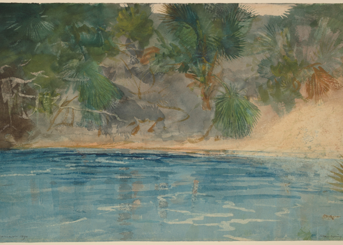 Winslow Homer Blue Spring, Florida poster