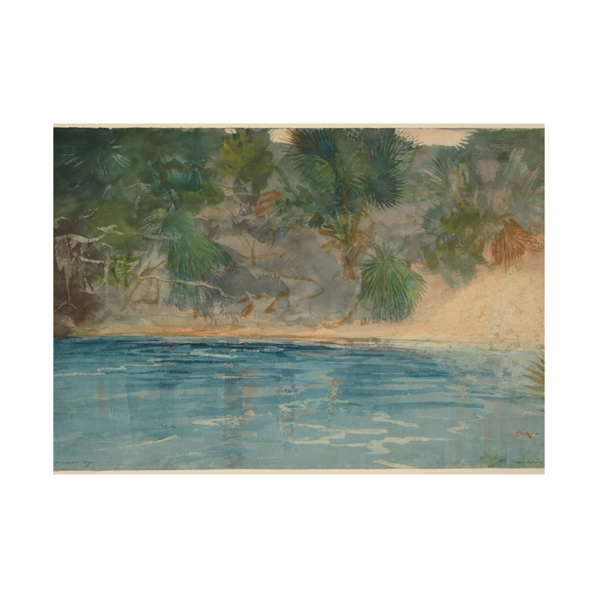 Winslow Homer Blue Spring, Florida poster