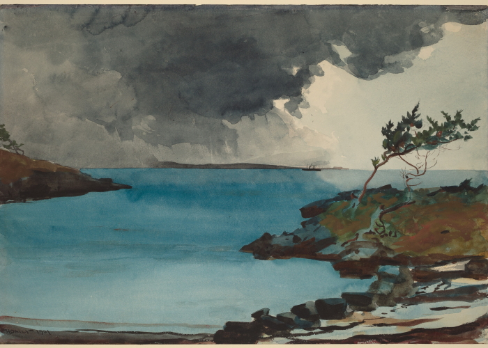Winslow Homer The Coming Storm poster