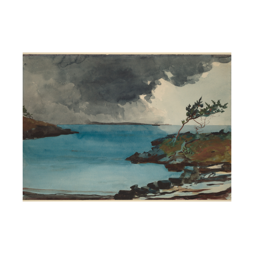 Winslow Homer The Coming Storm poster