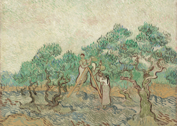 Vincent van Gogh The Olive Orchard poster
