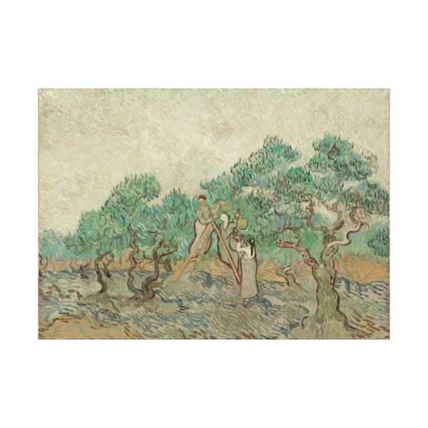Vincent van Gogh The Olive Orchard poster