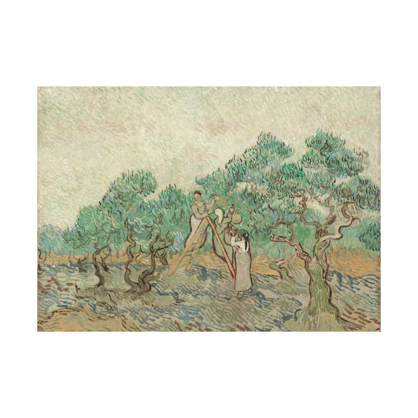 Vincent van Gogh The Olive Orchard poster