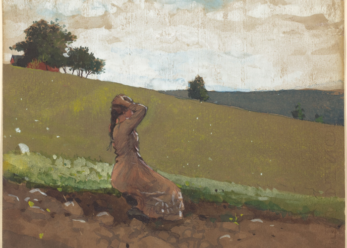 Winslow Homer The Green Hill poster