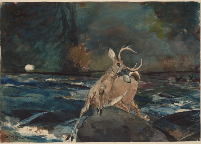 Winslow Homer A Good Shot, Adirondacks poster
