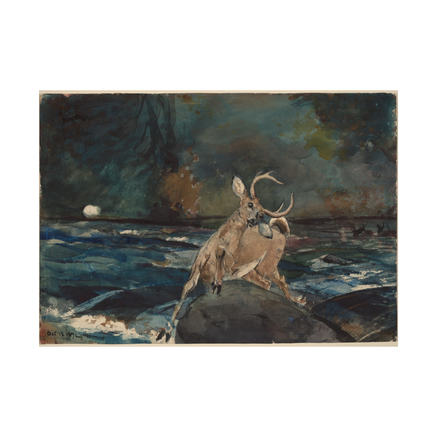 Winslow Homer A Good Shot, Adirondacks poster